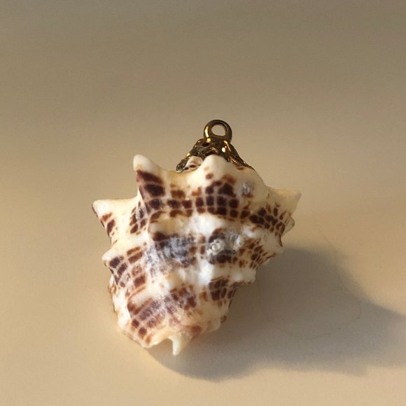 Seashell Pendant with Gold Fascinator for Necklace - Picture 2 of 6